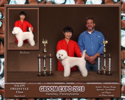 Groom Expo 2018 – Open Level Salon Freestyle Class 1st Place