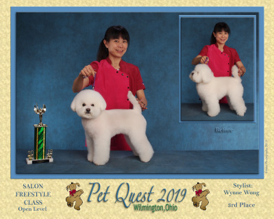 Wynne – Pet Quest 2019 Salon Freestyle Class Open Level 3rd Place