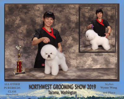 Wynne – Northest Grooming Show 2019 – All Other Purebreds Class Open Level 3rd Place