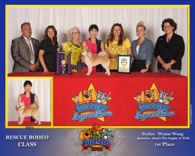 Wynne – Superzoo 2019 Rescue Rodeo Class – 1st Place