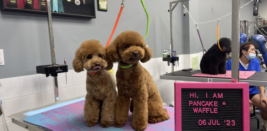 Our Happy Customers 18