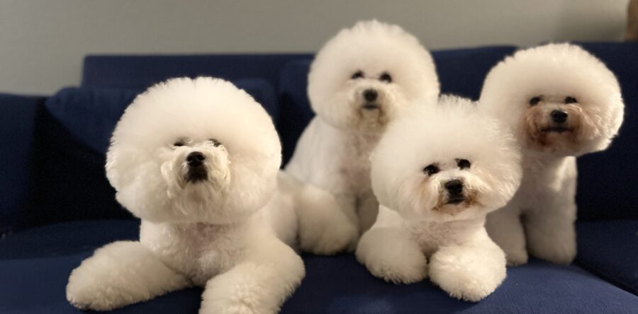 Our Happy Customers 4