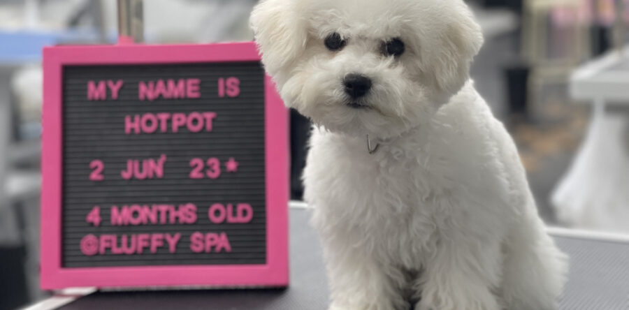 Our Happy Customers 26