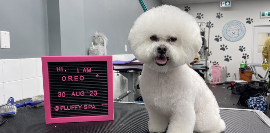 Our Happy Customers 7